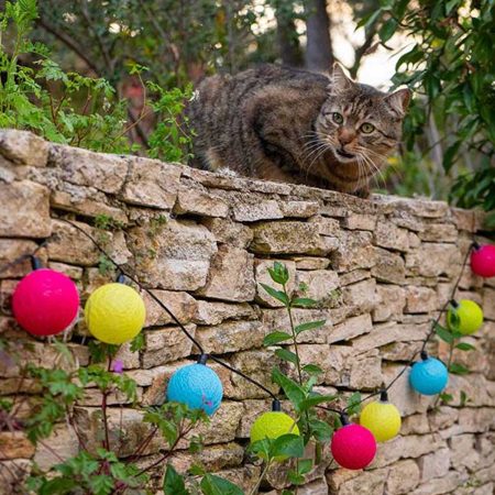 guirlande lumineuse